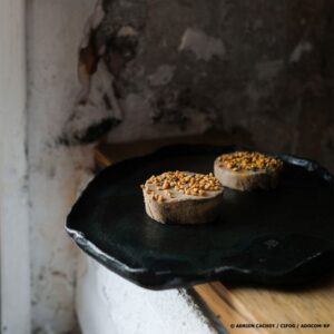 Terrine de foie gras